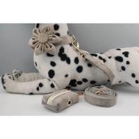 Juego de Collar y correa de terciopelo para perro, placa de identificación grabada personalizada, suministros para mascotas, color gris claro, 12 - details 1