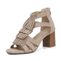 Sandalias Gruesas con Borla para Mujer 2025 Botas de Moda con Zip Trasero de Tacón Alto y Boca de Pescado Romano - details 2