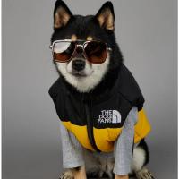 Chubasquero cálido de invierno para perros grandes, ropa de algodón para mascotas, abrigo a prueba de viento y lluvia - details 1
