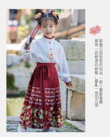 Conjunto de Falda Hanfu para Niñas Otoño 2025 Traje de Estilo Chino Antiguo para Actuaciones de Recitación Zapatos y Ropa - details 49