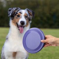 Pet Dog Flying Disk Toy Funny Silicone Resistant Chew Game Puppy Training Interactive Supplies Anti-bite Throwing Toys Perros - details 6