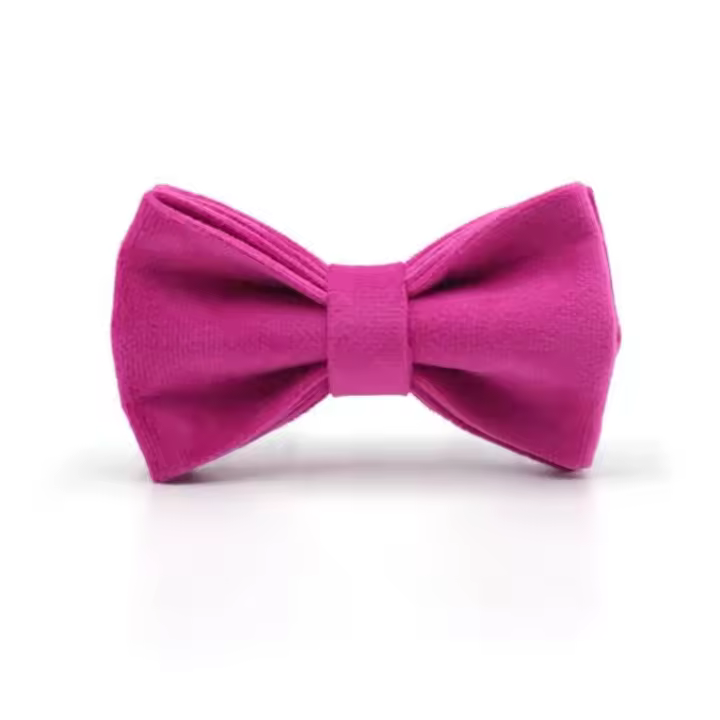 Collar de terciopelo fucsia para perros pequeños, lindo arnés ligero para perros, juego de tirón personalizado para cachorros con flores - 1