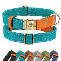 Collar nailon personalizado perro y cachorro, conjunto correa cuero genuino personalizado, placa de identificación mascotas, - details 2