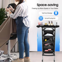 Estantería de salón, carrito de herramientas de salón, herramientas de peluquería, carrito de belleza con empuje para conductor - details 2