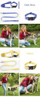 Correa tracción Collar gato, adecuada perros pequeños y grandes, Bulldog, Pugs Beagle, correa ustable de nailon para perro - details 5