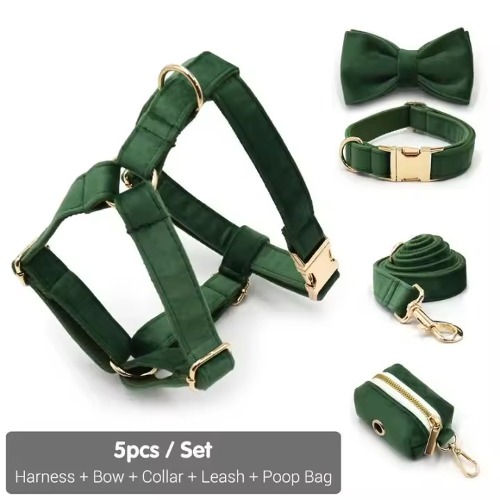Terciopelo Verde Pavo real Grabado, Conjunto Correa de arnés Perros personalizado, Collar able sin escape para mascotas con - 1
