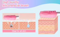 Facial Cleansing Brush