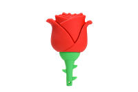 JASTER Drive USB Floral de 64GB Llavero de Memoria en rojo, azul, amarillo, rosa - details 5