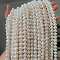 Cuentas de Perla Blanca Frescas Naturales A+ Cuentas Redondas Irregulares para Accesorios de Joyería DIY Certificado CE - details 0