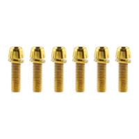 6 unids/set tornillos de manillar de bicicleta chapados en titanio M5 * 17MM perno de pinza de freno de disco de bicicleta de acero inoxidable perno de fijación colorido - details 12