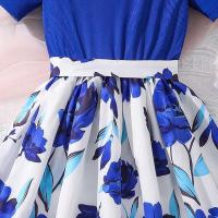 Vestido Elegante de Chiffon Real para Niñas de 8 a 12 Años Estilo Vintage de Moda Diaria - details 8