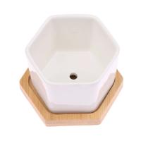 Maceta de cerámica hexagonal blanca con bandeja, maceta Europea Simple, contenedor de plantas suculentas, macetas pequeñas para bonsái - details 17