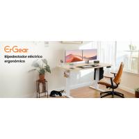 Escritorio de Altura Regulable