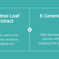 ANUA BHA 2% Tónico exfoliante suave, exfoliante facial suave, ácido salicílico para poros y sebo, extracto de árbol de té, hialurónico - details 11