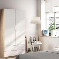 Organizador de Armario de Estilo Canadian 2 Puertas, 2 Cajones Acabado en Roble Blanco - details 6
