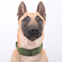 Collar de entrenamiento para perros ajustable y duradero, hebilla de Metal, Collar de cuello para perro resistente, Collar con remaches para perro transpirable, perro de trabajo - details 2