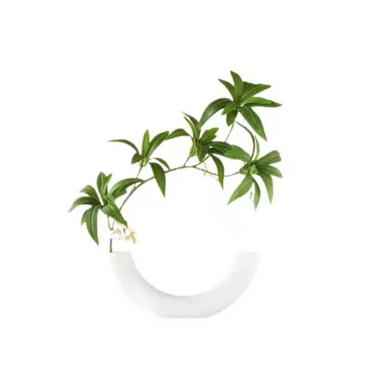 50CM Flor Artificial de Ficus hoja verde planta paisajística plantas en macetas inspiradas en Zen plantas bonsái plantas verdes artificiales - 1