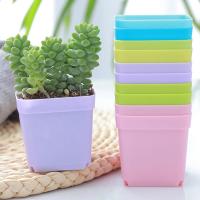 Maceta de flores de piezas, caja de vivero de 5,5 cm, Mini maceta cuadrada, cuenca de plantas de plástico colorido, macetas de trasplante suculentas, herramientas de jardín - details 9