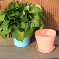 Flor interior decorativa para el hogar para plantas, macetas de plástico para jardín, venta al por mayor - details 6