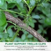 Clips de soporte para plantas de jardín, pinzas para tomate, enrejados, para flor de pepino, vid de Squash, diámetro interior de 1 pulgada, 200 piezas - details 3