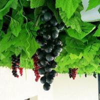 racimos de racimo de uvas artificiales