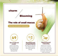 Crema Facial de Colágeno de Caracol Blanqueado, Hidratante, Anti-envejecimiento, Reafirmante - details 6