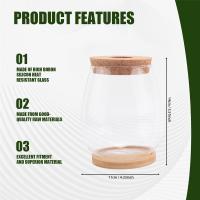 Estaciones de propagación de plantas, terrario de plantas de escritorio separado de 2 piezas con bandeja de madera y tapa para propagar hidropónico - details 6