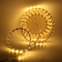 Tira de luces LED de 220V, cinta Flexible resistente al agua, 60LEDs/m, SMD 5050, con enchufe europeo, decoración del hogar, Blanco cálido/azul - details 4