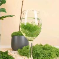 50G simulación DIY planta decoración verde PAISE musgo césped Artificial - details 8
