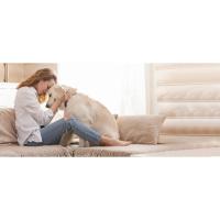 Galatée Cama para Gatos, Cama Redonda para Gatos y Cachorros, Cama Cálida y Cómoda para Mascotas, Cama para Gatos Lavable Desmontable, Sofá para Gatos para Gatos de Interior al Aire Libre (Rosado) - details 0