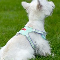 Cinturón de tracción para mascotas, chaleco con arnés para el pecho transpirable, correa reflectante ajustable para mascotas, correa antiescape para gatos, suministros para mascotas - details 5