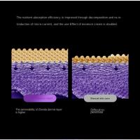 Masajeador Facial EMS Antiarrugas Con Corriente Microcorriente RF Máquina De Belleza Para El Cuello Y Rostro Elevación Y Tensión De La Piel Cuidado De La Piel - details 17