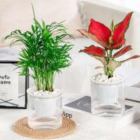 Riego automático de plástico transparente de doble capa con absorción de agua hidropónica perezosa ETA, decoración del hogar - details 4