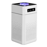 Purificador de aire con filtro Hepa, generador de iones negativos, eliminador de olor a humo, formaldehído, para habitación de coche y cocina - details 12