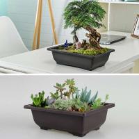 ETA de plástico de entrenamiento rectangular con bandeja de drenaje, cultivo de plantas bonsái jugosas ETA, decoración del hogar - details 9