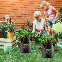 Cultivo de bolsas no tejidas de fresa de 6 lados, ETA para cultivo de plantas en jardín - details 3