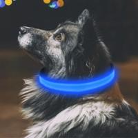 Collar Luminoso Perros