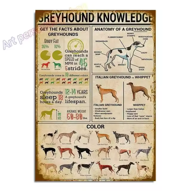Cartel de placa Vintage de Galgo Italiano para decoración de pared, cartel de hojalata colgante de Metal de 8x12 pulgadas para Bar de mascotas, casa de café y perro - 1