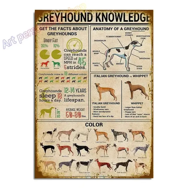 Cartel de placa Vintage de Galgo Italiano para decoración de pared, cartel de hojalata colgante de Metal de 8x12 pulgadas para Bar de mascotas, casa de café y perro - 1