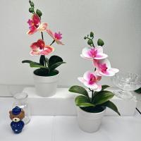 Nueva orquídea mariposa simulada de 26cm, regalos DIY, bonsái de orquídea Artificial, bonsái de flores artificiales para oficina interior y exterior - details 12