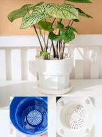 Maceta de plástico para interiores, maceta para plantas jugosas - details 7