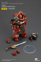 JOYTOY 40k 1/18 figuras de acción Anime 14,2 cm Blood Angels Legion Praetor en Tartaros Terminator Armor - details 9