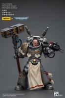 JOYTOY 40k 1/18 figuras de acción Anime 12cm caballeros grises Interceptor Strike Squad juguetes de modelos de colección - details 2