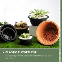 ETA de plástico para plántulas, plantas suculentas, recipiente de 165x74cm, decoración de escritorio, 6 piezas. - details 6