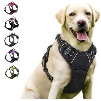 Collares Arnés para Perros Chalecos Grandes Correa Tienda de Mascotas Accesorios de Cuero para Cachorros Conjunto Mediano y Pequeño - details 1