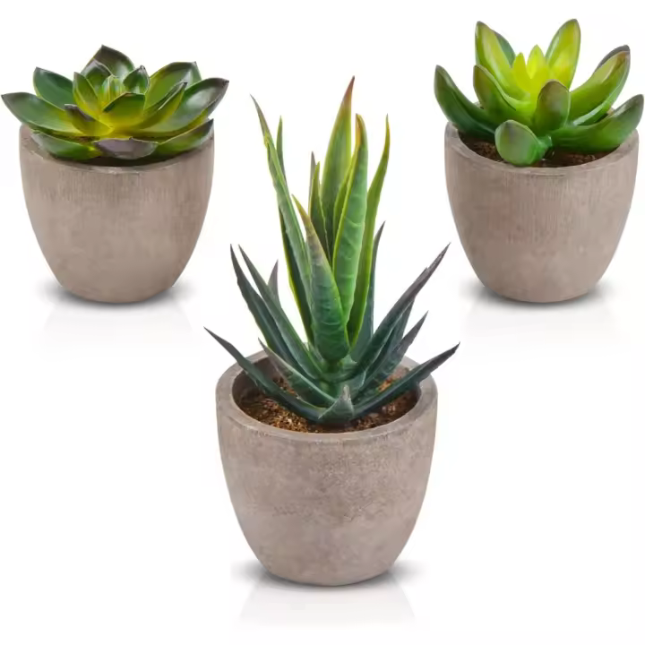 Plantas Suculentas Artificiales 3 Piezas Decorativas Verdes con Maceta - 1