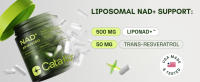 NMN Liposomal alternativo con resveratrol Suplemento de NAD de alta pureza para antienvejecimiento, energía y enfoque - 60 cápsulas - details 2