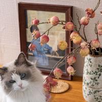 11 ramas artificiales de granada de frutas, ramas de frutas de espuma hechas a mano realistas, plantas falsas de plástico elegantes - details 1