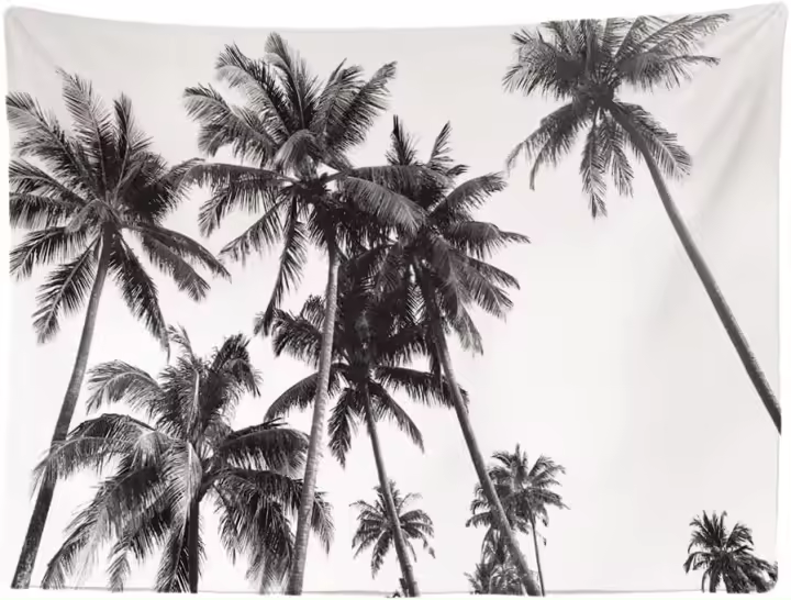 Decoración de Casa Retro Vintage Murales de Palmera Arte Negro Blanco Tapiz Decorativo para Dormitorio Salón - 1