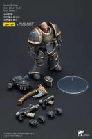 JOYTOY 40k 1/18 Figuras de acción Anime 12cm Space Woes Grey Slayer Pack - details 8